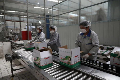 南京開發區 本地飲品年貨市場旺，節后加緊生產忙，軟件賦能助發展